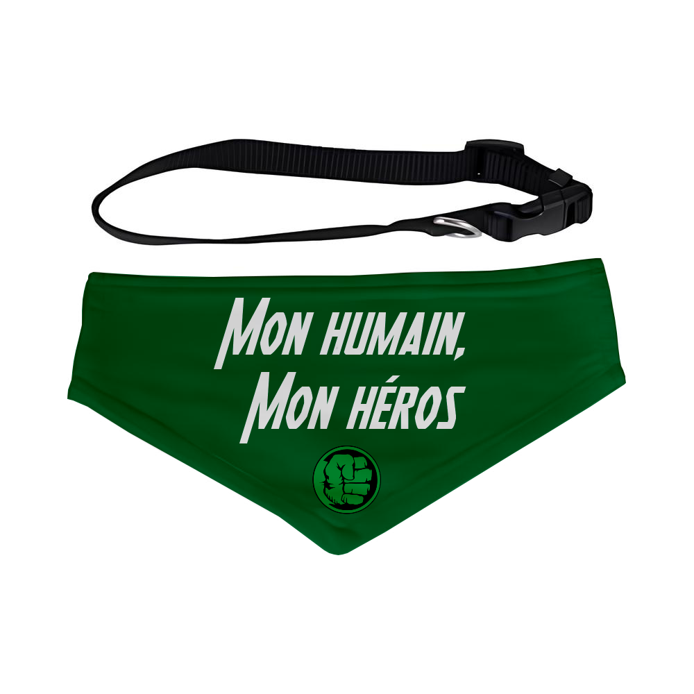 Bandana Illustration pour chien et chat