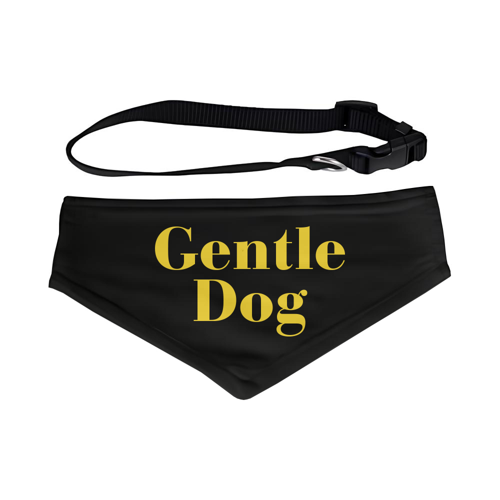 Bandana Illustration pour chien et chat