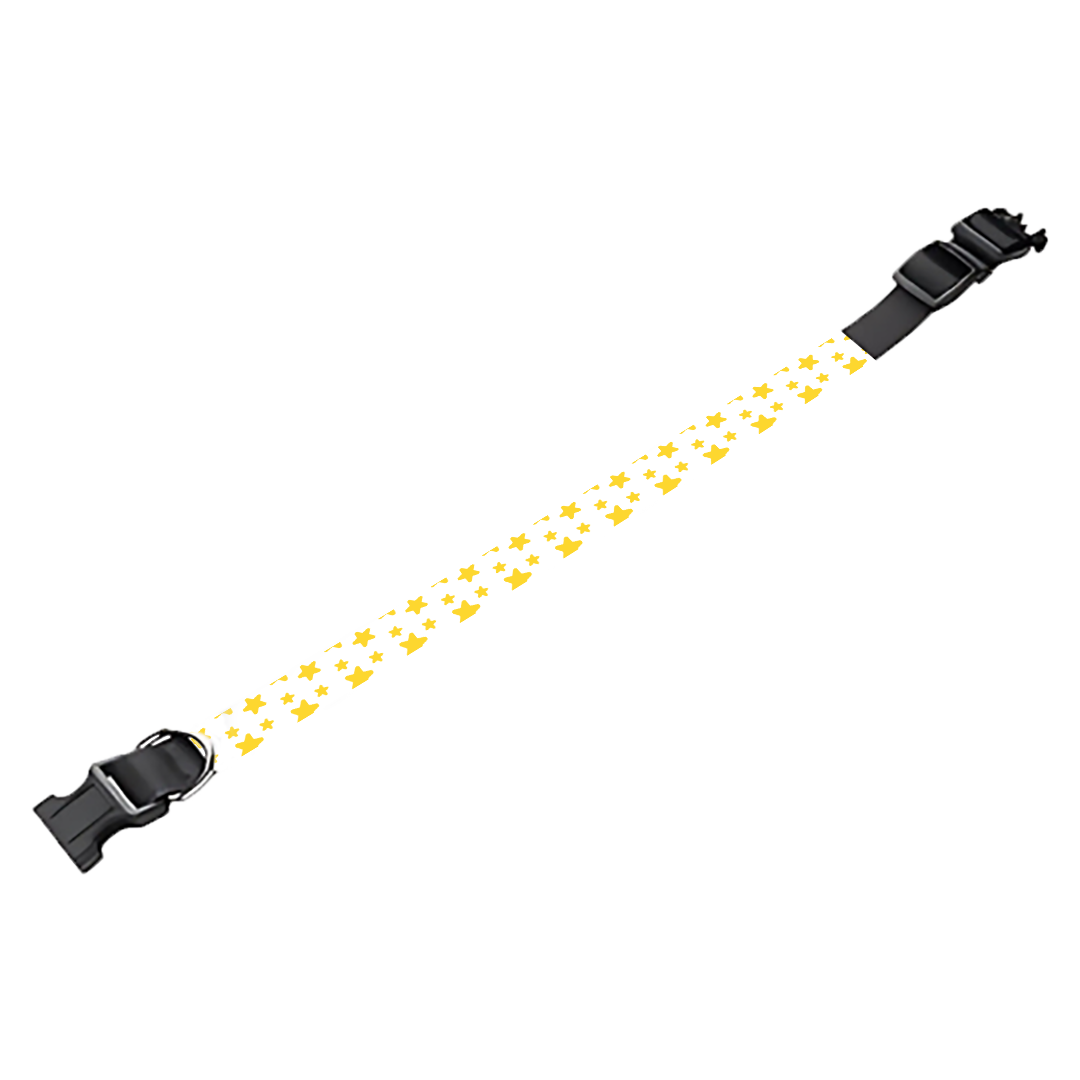 Collier pour chien Personnalisé