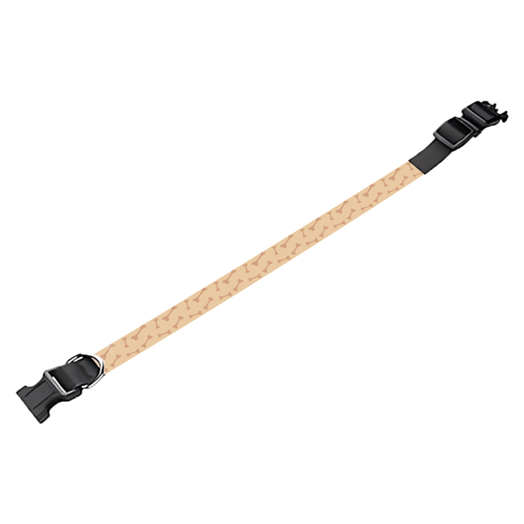 Collier pour chien Personnalisé