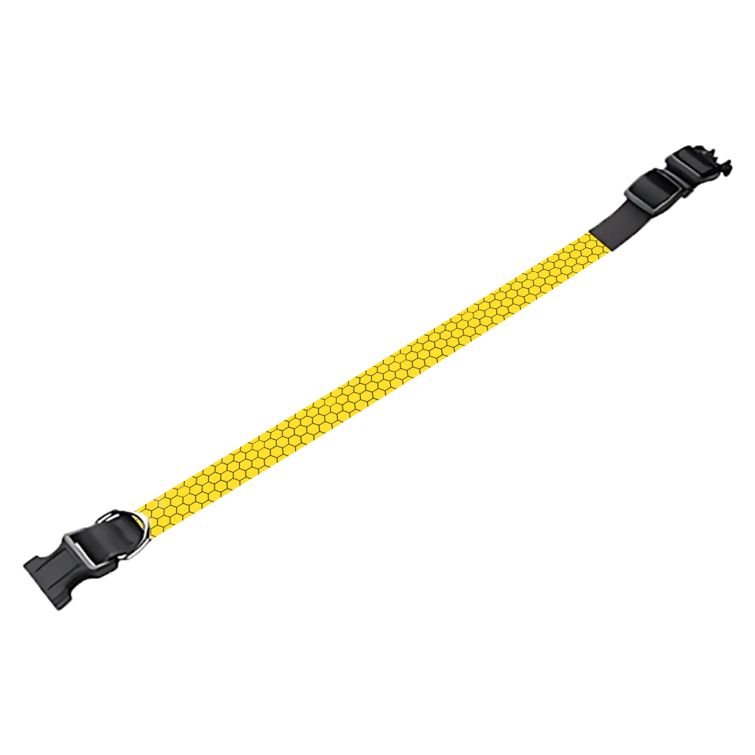 Collier pour chien Personnalisé
