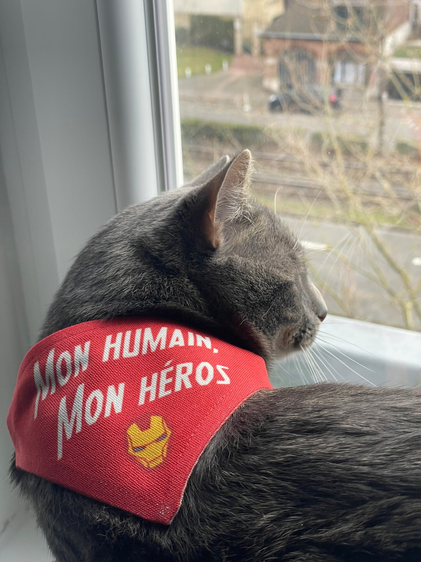 Bandana Personnalisé pour chien et chat