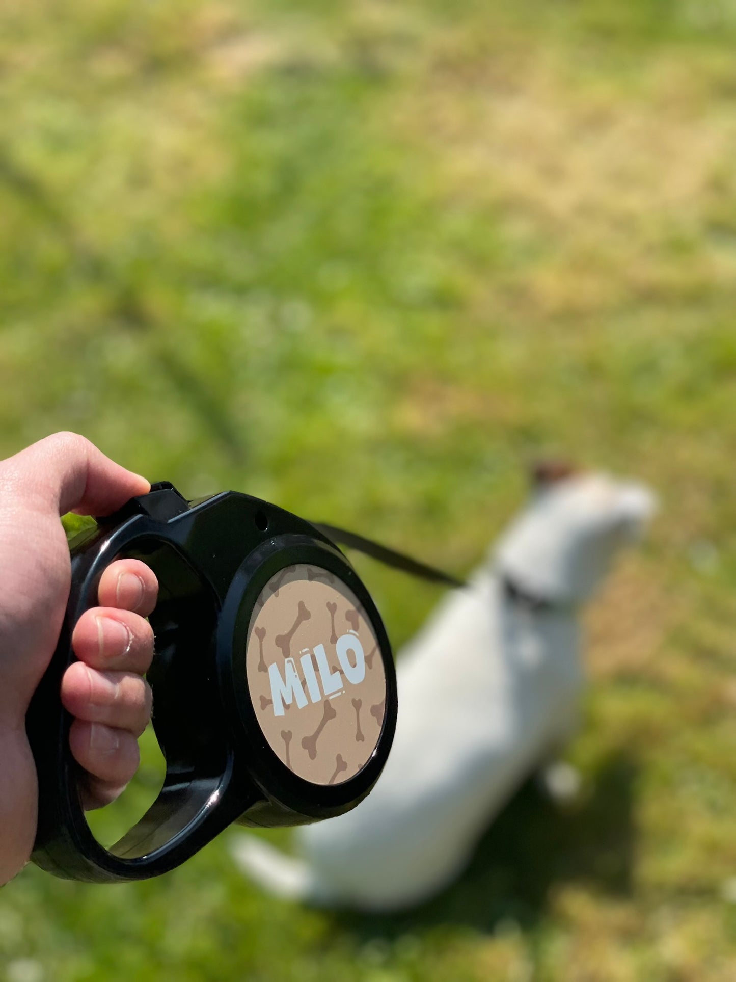 Laisse pour chien Personnalisé