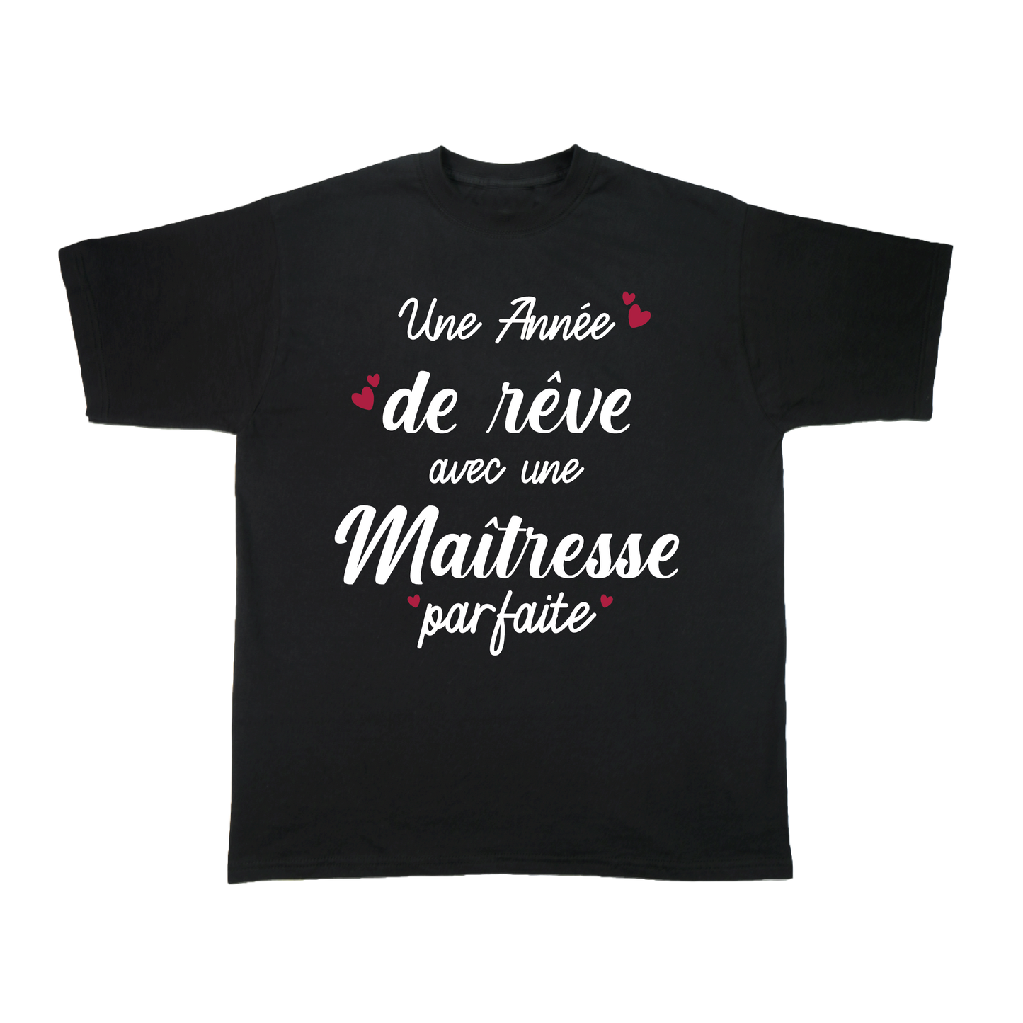 UNE ANNEE DE REVE AVEC UNE MAITRESSE PARFAITE