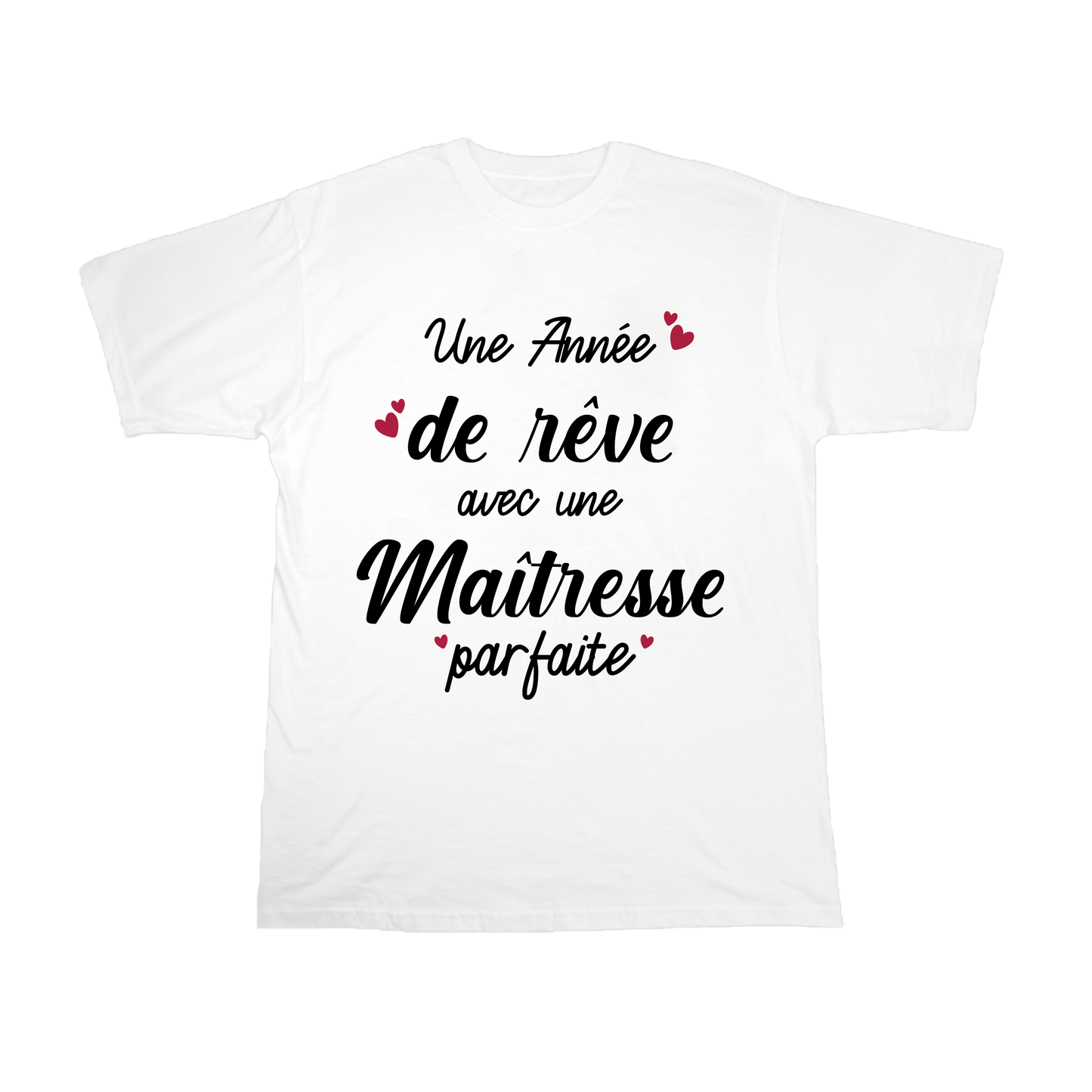 UNE ANNEE DE REVE AVEC UNE MAITRESSE PARFAITE