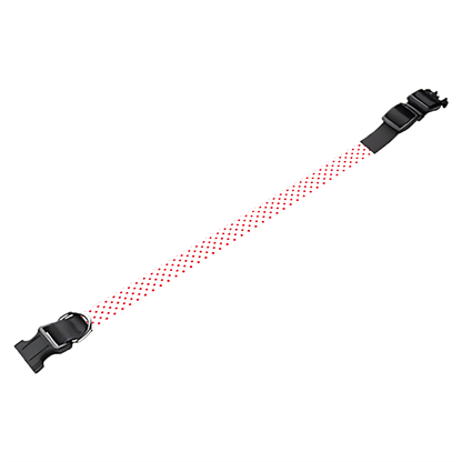 Collier pour chien Personnalisé