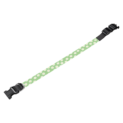 Collier pour chien Personnalisé
