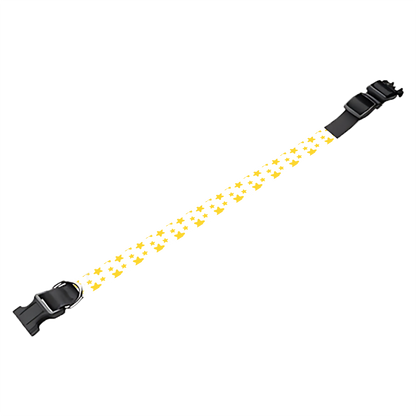 Collier pour chien Personnalisé