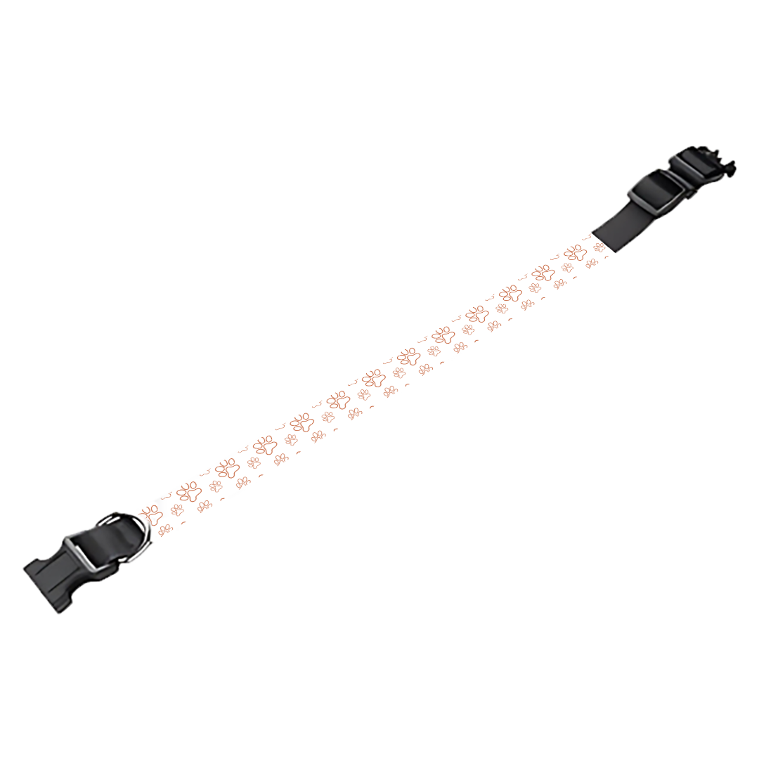 Collier pour chien Personnalisé