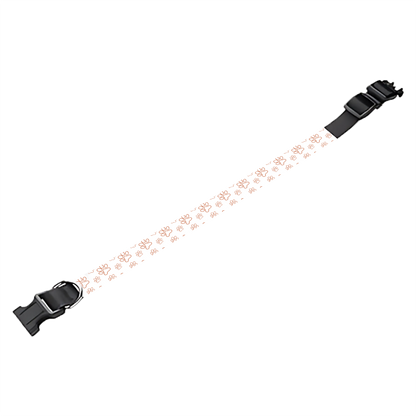 Collier pour chien Personnalisé