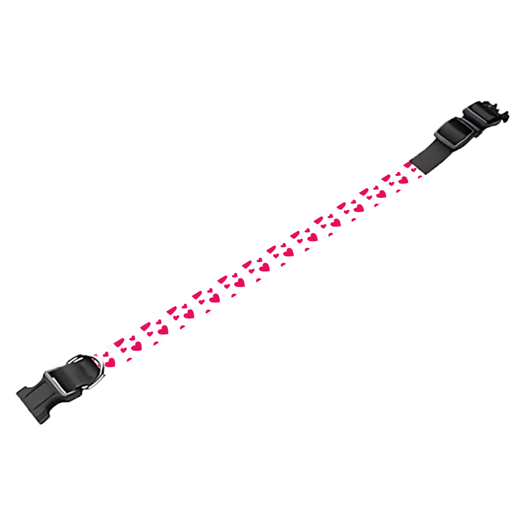 Collier pour chien Personnalisé