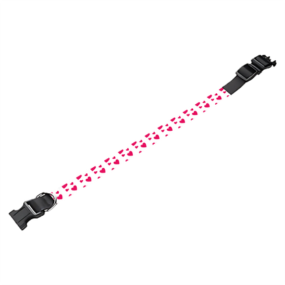Collier pour chien Personnalisé