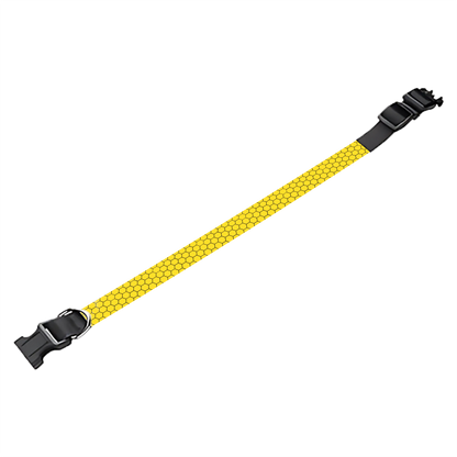 Collier pour chien Personnalisé