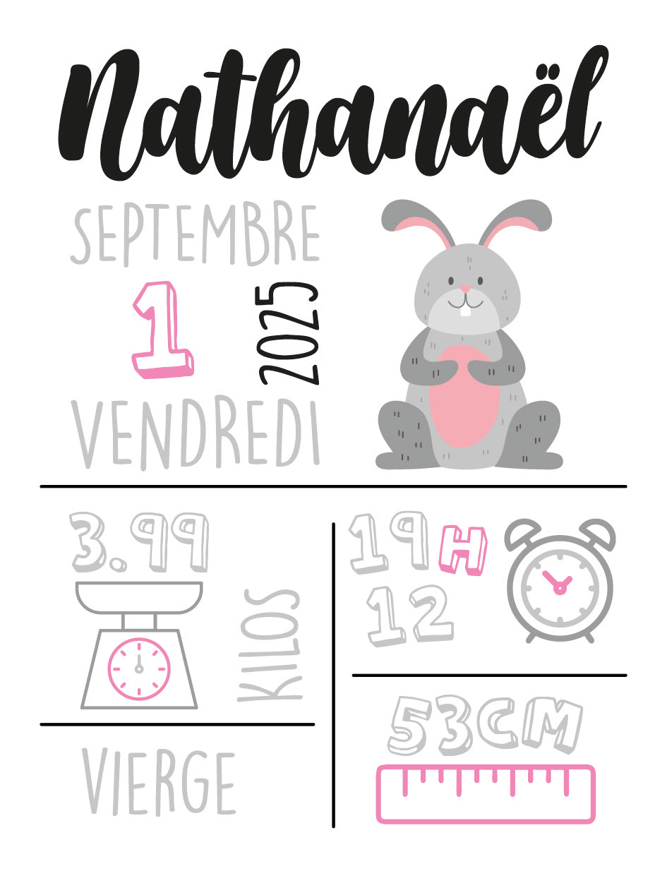 Plaque de "Naissance"