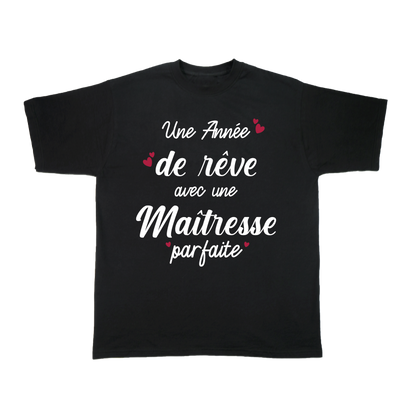 UNE ANNEE DE REVE AVEC UNE MAITRESSE PARFAITE