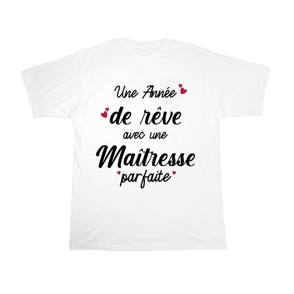UNE ANNEE DE REVE AVEC UNE MAITRESSE PARFAITE